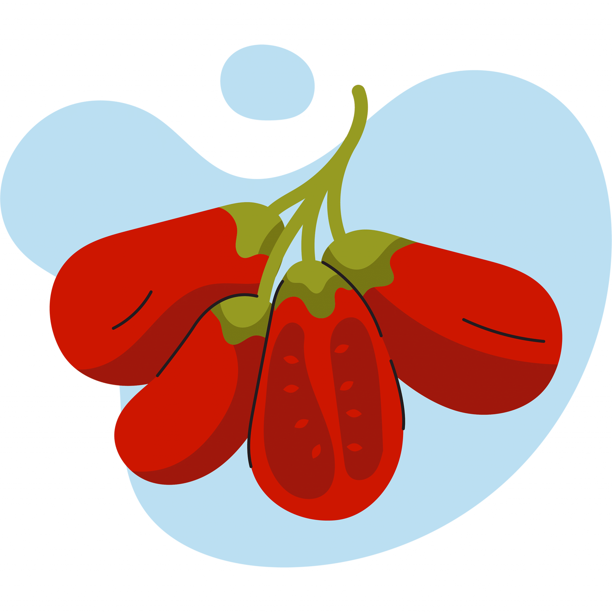 Tomaten-Illustration